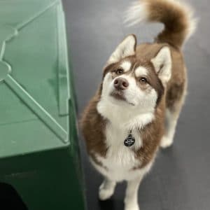 R Reynoso - 154C9CF1-94ED-49D6-8218-1379D8577370