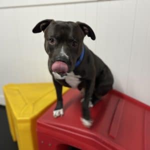 R Reynoso - 1755DD55-E0AC-4384-8705-32F815E0513C