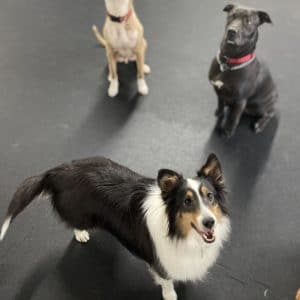 R Reynoso - 1C402B03-8276-4174-9234-BD755043A7DD