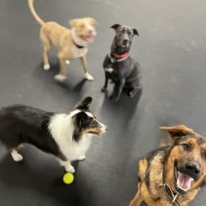 R Reynoso - 2A03E5F7-59E3-4DEE-8333-81A34028403C