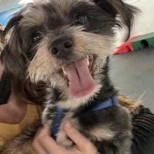 R Reynoso - 3E534122-F223-4A73-B773-BD62FE413913