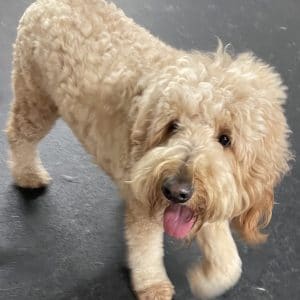 R Reynoso - 3F95BBA9-1263-46BD-8D83-48C71D45BF99