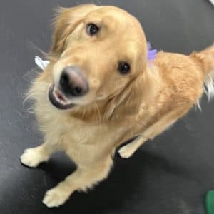 R Reynoso - 4ACB4A2D-06AC-4FF6-8C8A-6CECC4CBDB1B