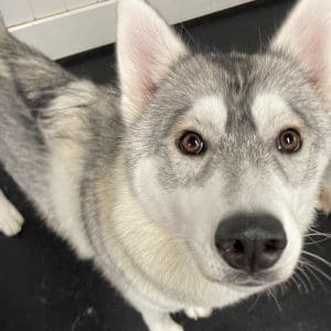 R Reynoso - 61F3A5A1-5E93-4F21-A9DA-DC56159725DE