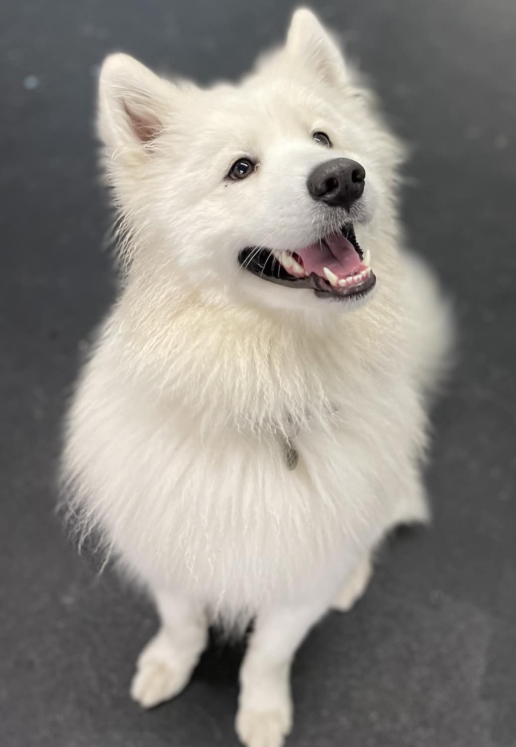 R Reynoso - 6A348775-B8FB-4CAE-9B64-0E146F5D8961