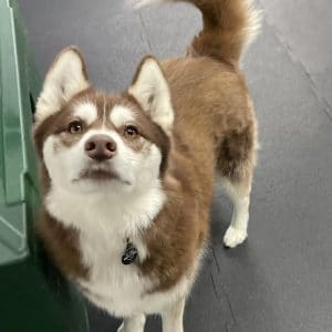 R Reynoso - 7345DD7A-E607-4FF7-8216-421DEAABBAEF