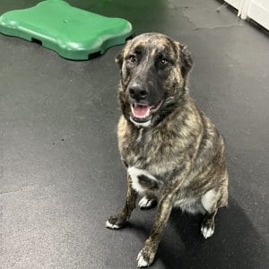 R Reynoso - 7512D9F3-8A2C-4557-97C7-44C451ACB4BF