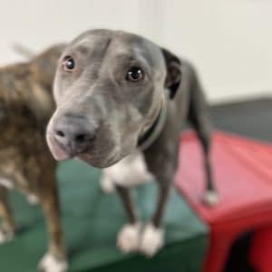 R Reynoso - 7D8D0F3C-6559-4843-BFB6-5A5AC27DD72D