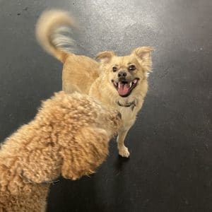 R Reynoso - 86E701A6-ABDB-4891-BEF4-21AF4E0C94DE