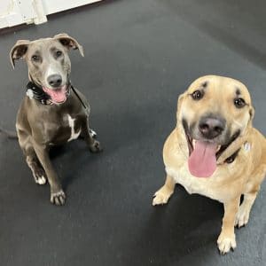 R Reynoso - 89DEC52E-C3C3-465F-9AAE-825371A99AF1