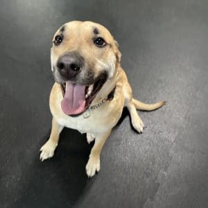 R Reynoso - 906788B2-D1B7-40B4-B2B0-450A7E7E9251