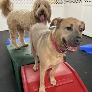 R Reynoso - 9D9745DB-3AB0-4C89-A4D7-0290852BCE05