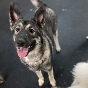 R Reynoso - AD1F8F09-24B6-4F0C-908C-F7779DDB0F7A