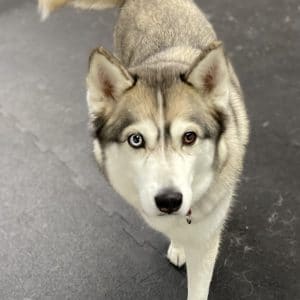 R Reynoso - B1D3D277-C586-4B30-9C56-4B6905E90586