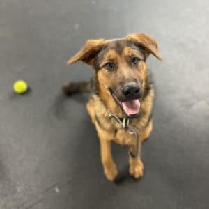 R Reynoso - BEA8F961-65CB-4DC0-9969-AE002B358608