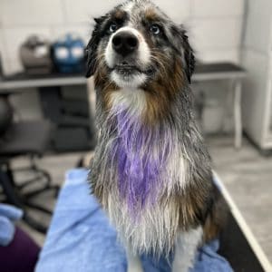 R Reynoso - BF50B00B-F2DA-415F-B9B1-B4948435EFBE