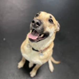 R Reynoso - C114118A-54C1-4B0D-8DF8-7F3AC85876DD