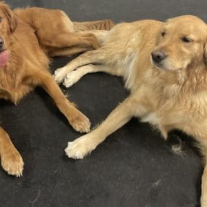 R Reynoso - C385F06D-A5F7-46F4-AA3A-D5A6AA4E87FE