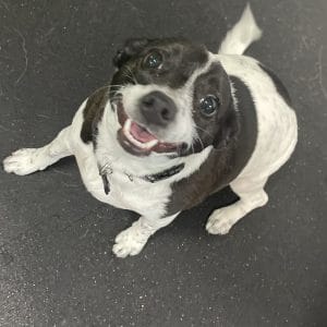 R Reynoso - C4D83D76-0D58-4C56-BB71-704A615915CE